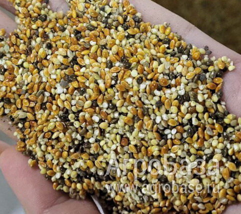 Отходы просяные насыпью