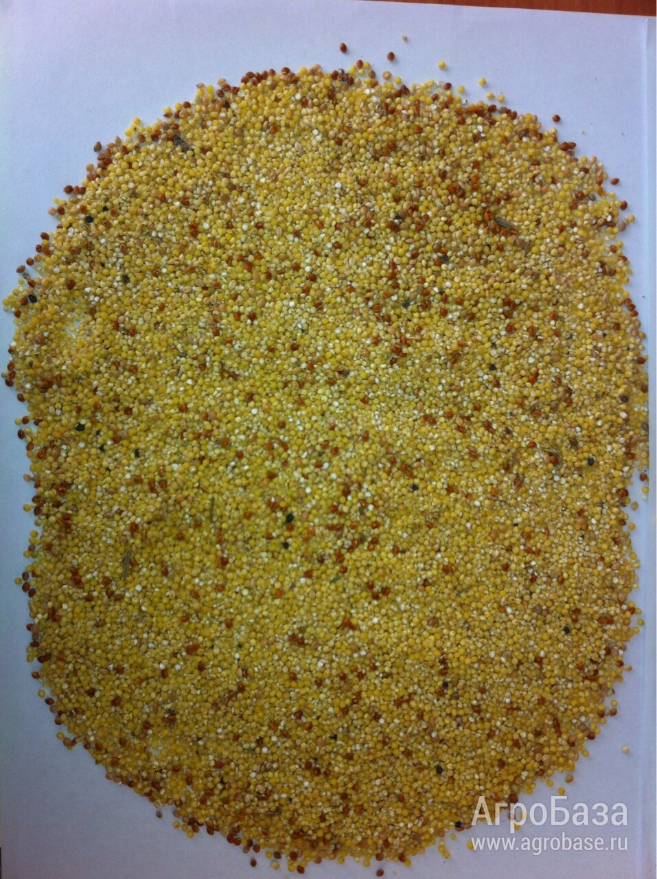 Сечка пшенная/ пшено дробленое несортовое