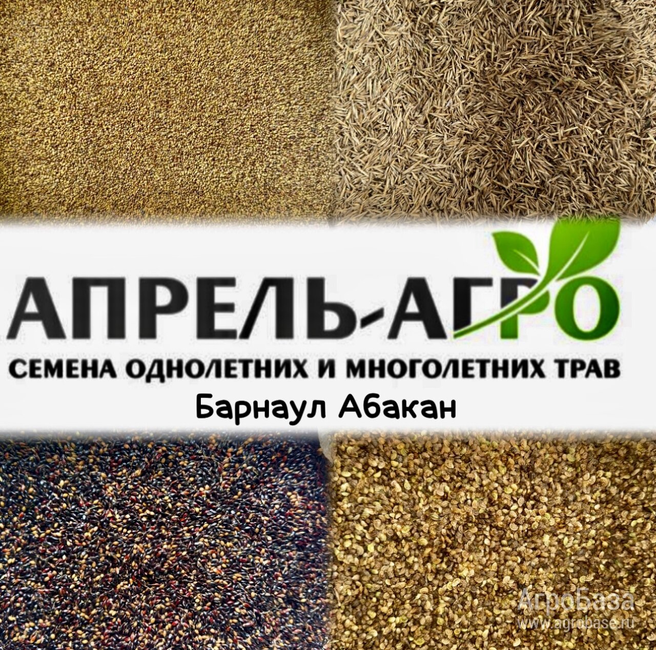 Семена трав