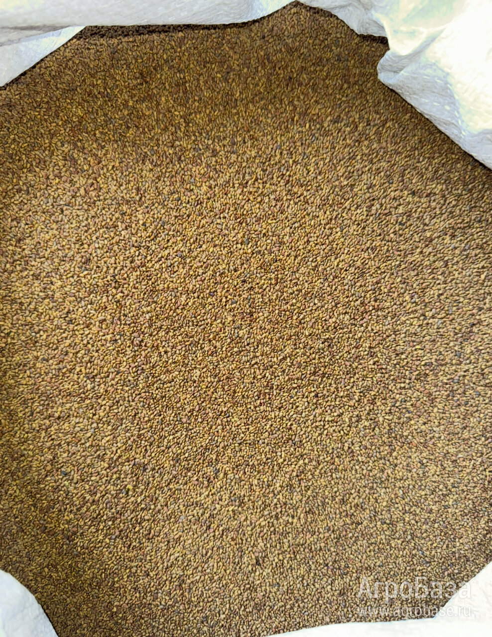 Семена трав