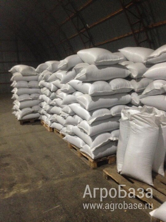 Подсолнечник очищенный калиброванный