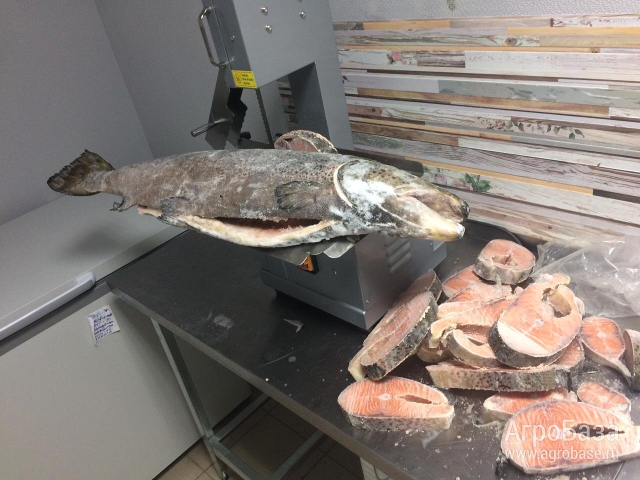 Мощная ленточная пила для мяса и кости