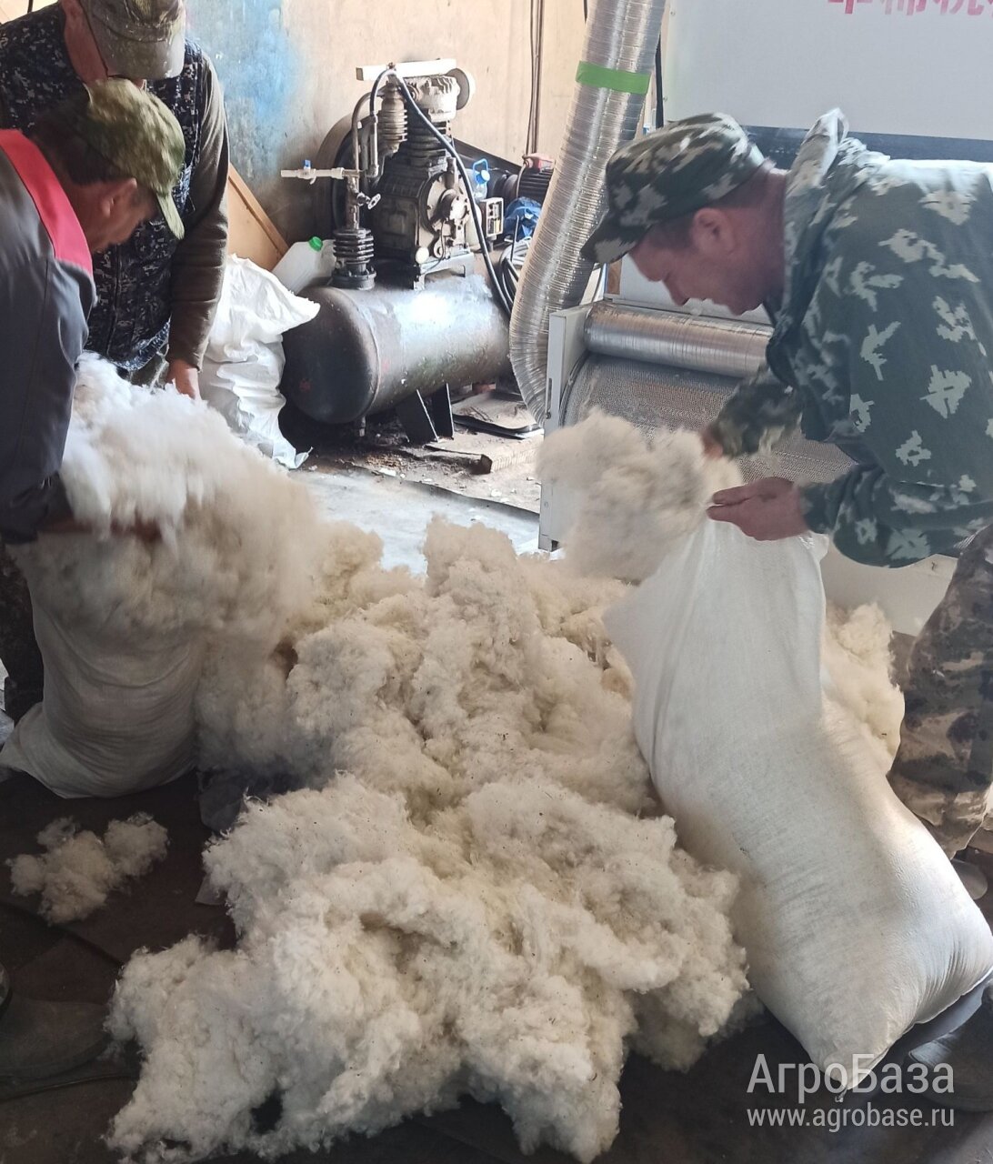 волокно хлопка