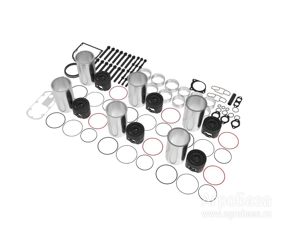 DZ10599 КОМПЛ. ДЛЯ РЕМ. ДВИГАТ.