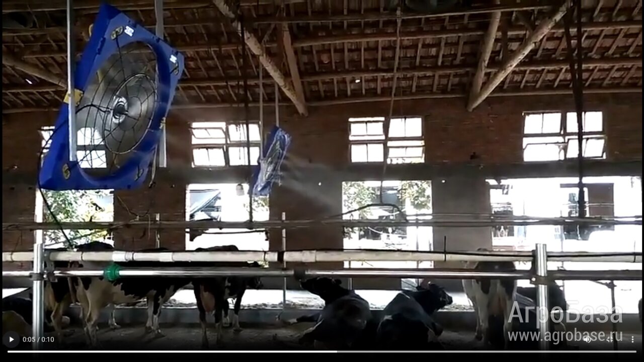 Система искусственного тумана