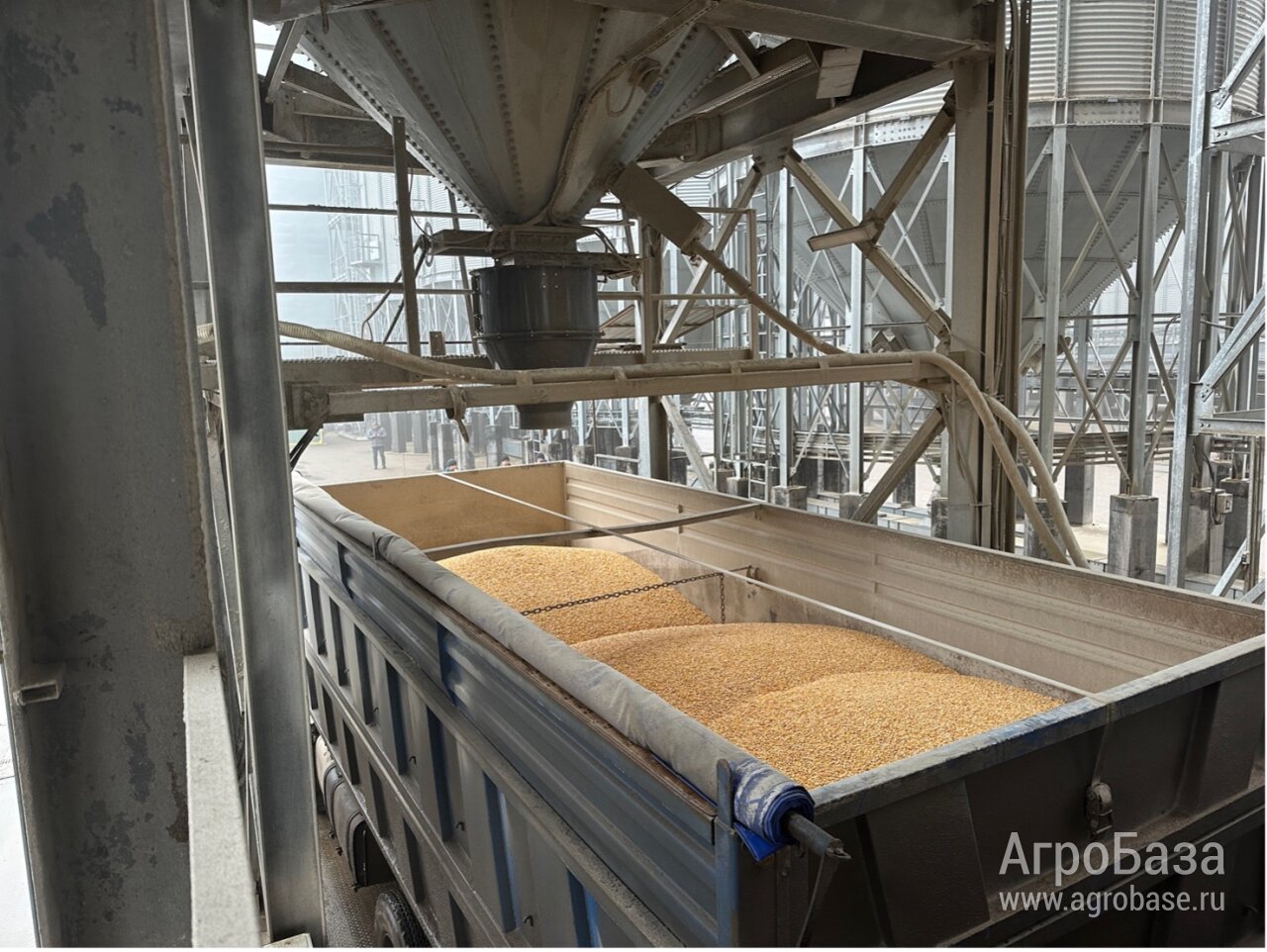 Пылеуловитель ПУ-Д600 / ПУ-Д750 - необходимое решение для загрузки зерна в вагоны без пыли