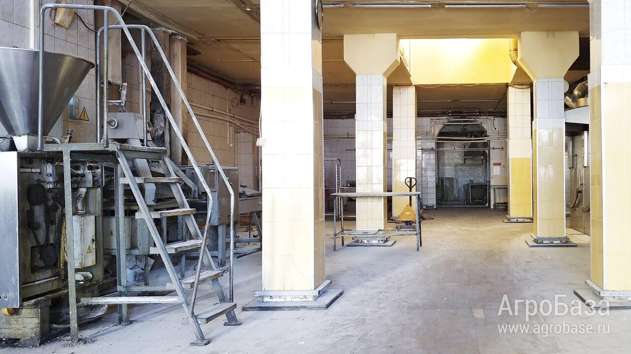 Промздание 2366 м² + 1,35 га в центре Луги — всего 35 млн ₽