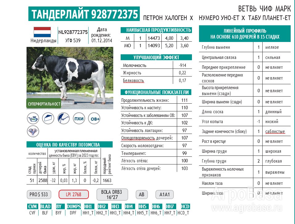 Семя/сперма быков-производителей