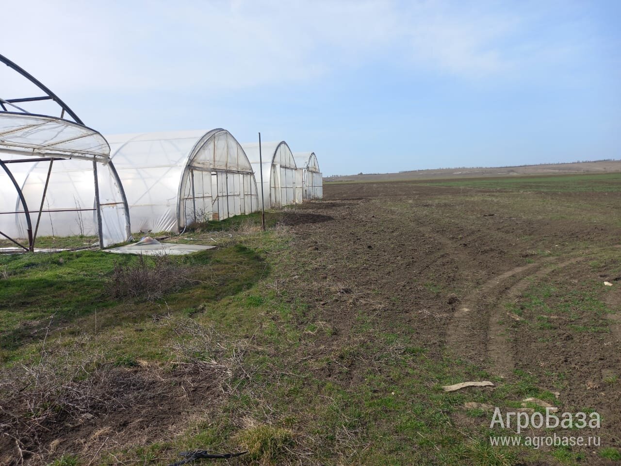 Тепличный комплекс в Крыму продам готовый бизнес хозяйство