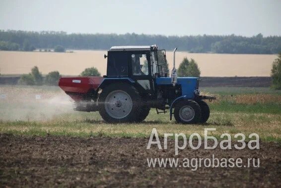 Внесение удобрений, посев семян