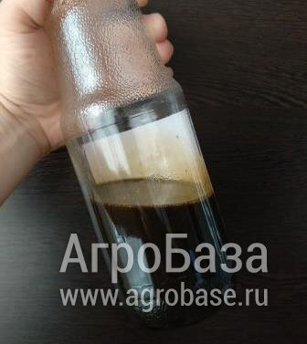 Фуз подсолнечный