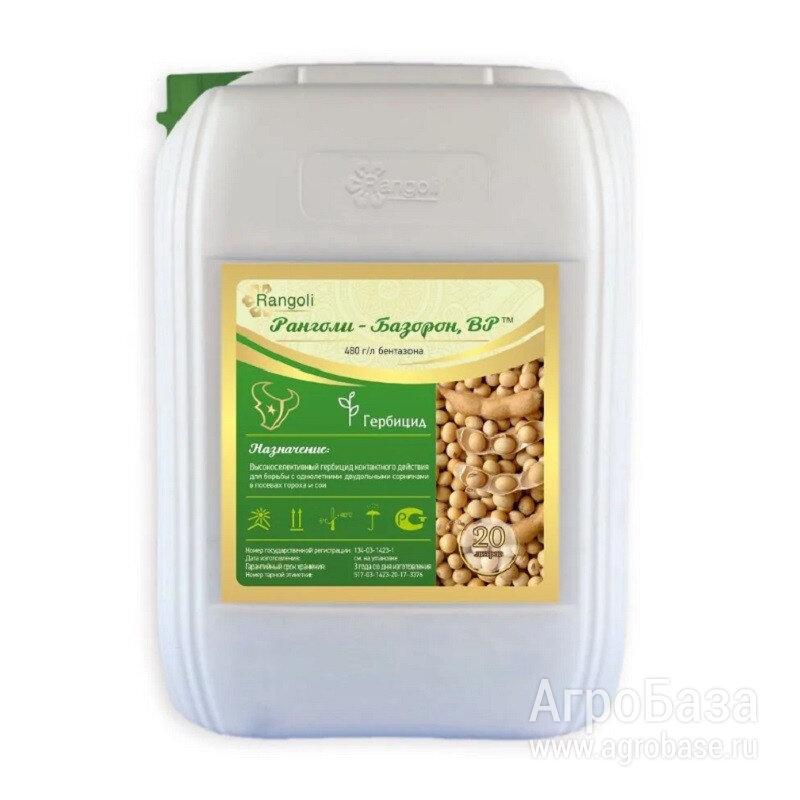 Ранголи-Базорон, ВР