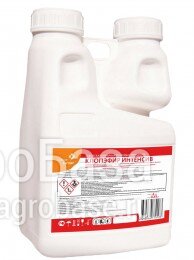 КлопЭфир Интенсив