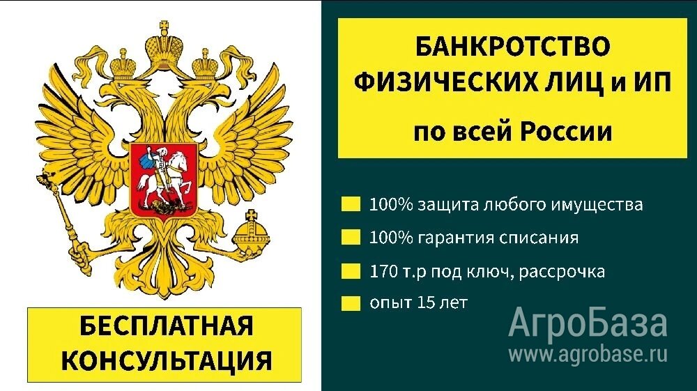 Работаю по всей России. Банкротство физ лиц и ИП 100%