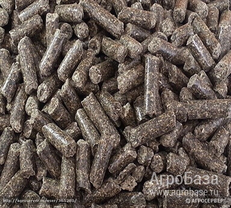 Шрот рапсовый и соевый оптом от производителя