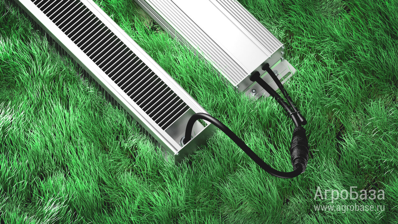Светодиодный фитосветильник «Агро» PromLED для повышения рентабельности тепличного хозяйства