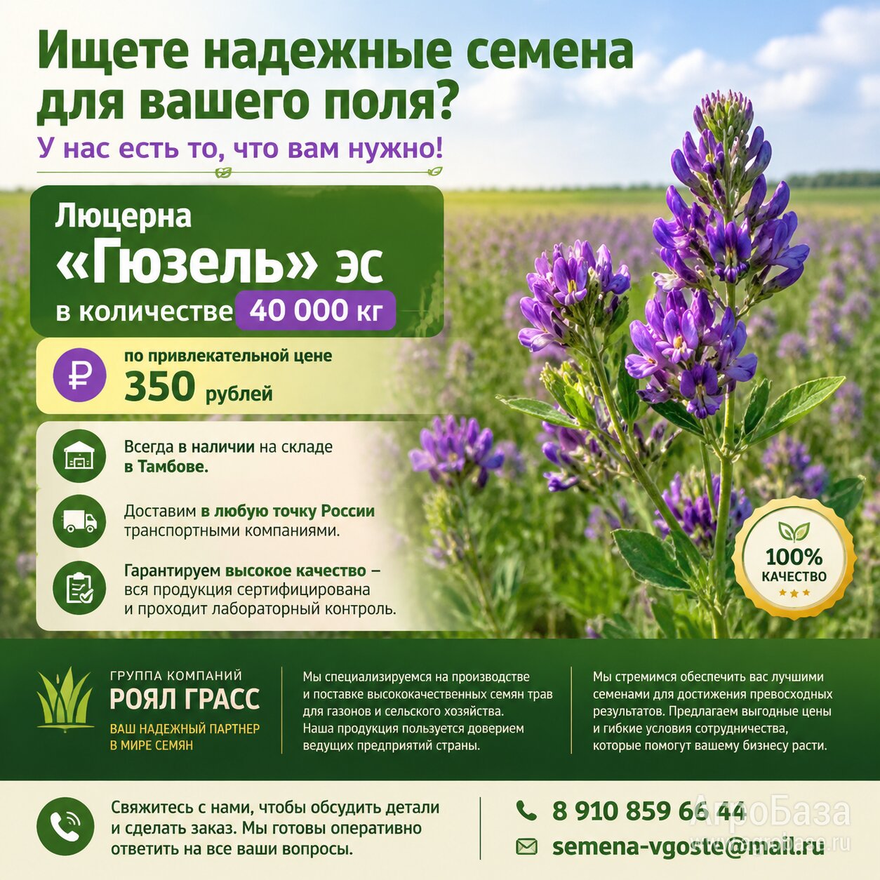Люцерна"Гюзель"эс опт