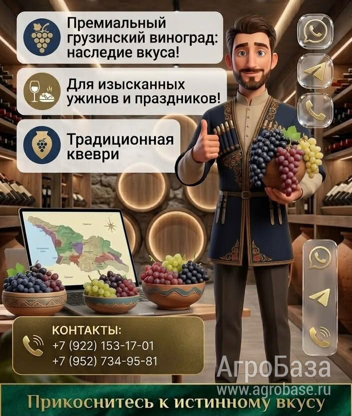 ПРОДАЕТСЯ ГРУЗИНСКИЙ ВИНОГРАД
