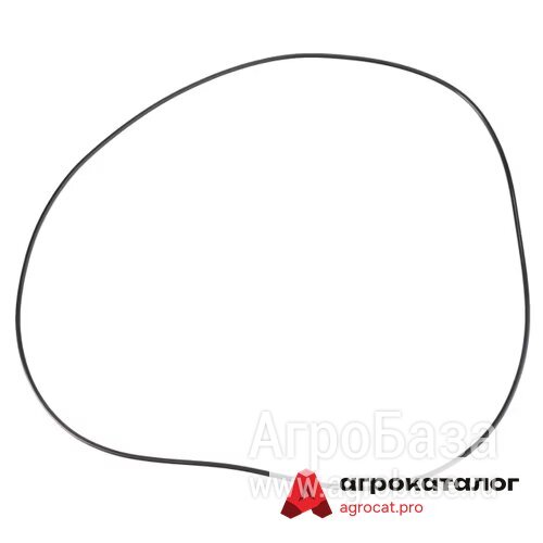 Уплотнительное кольцо, Powershift, Ø 300,00 X 3,00 мм AGCO 3011775X1