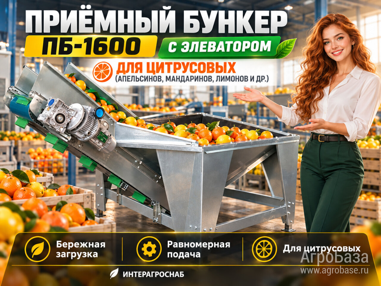 Приёмный бункер ПБ-1600 с элеватором для цитрусовых