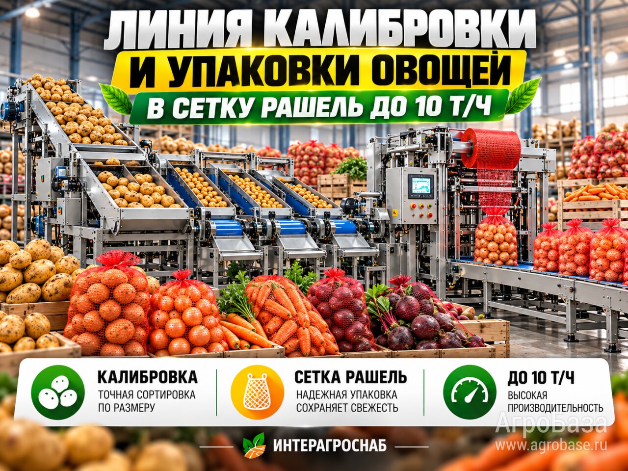 Линия фасовки овощей в сетку Рашель с двумя упаковочными постами