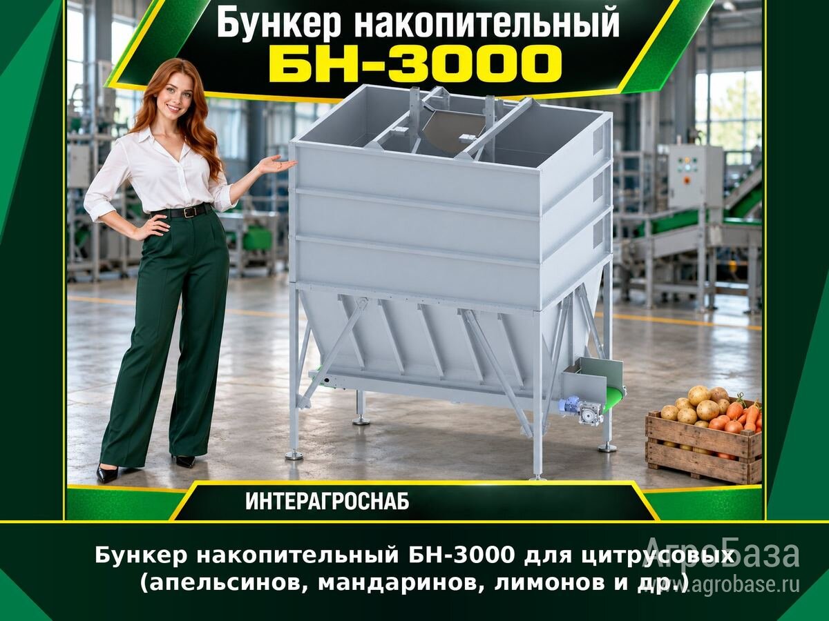 Бункер накопительный БН-3000 для цитрусовых