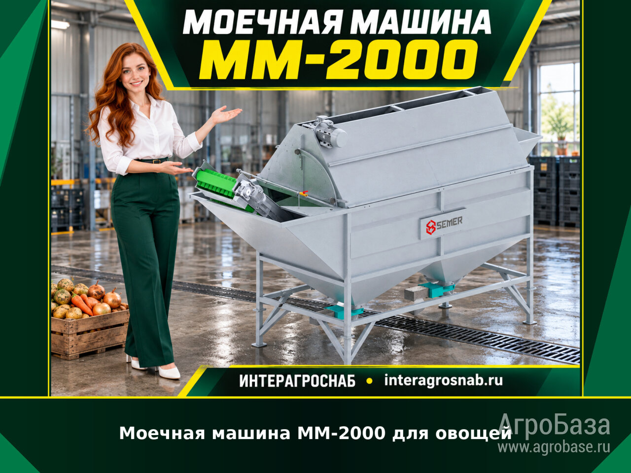 Моечная машина ММ-2000 для овощей и корнеплодов