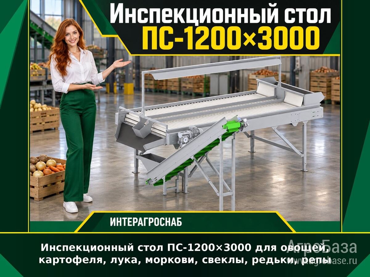 Инспекционный стол ПС-1200×3000 для овощей и корнеплодов