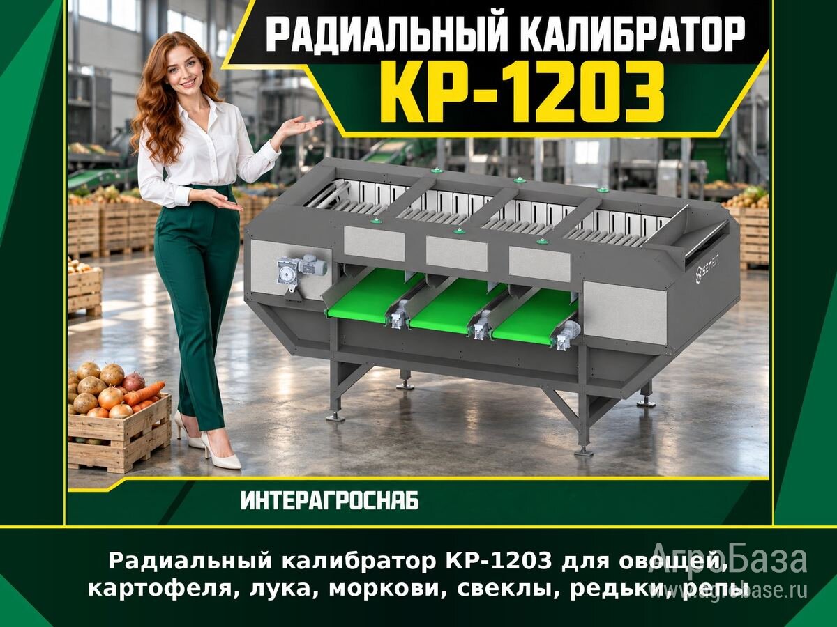 Радиальный калибратор КР-1203 для овощей и корнеплодов
