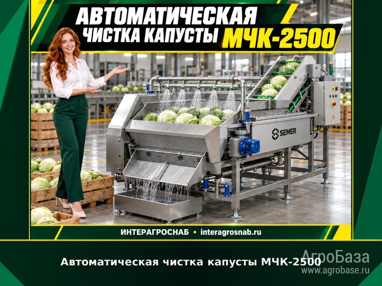 Автоматическая чистка капусты МЧК-2500