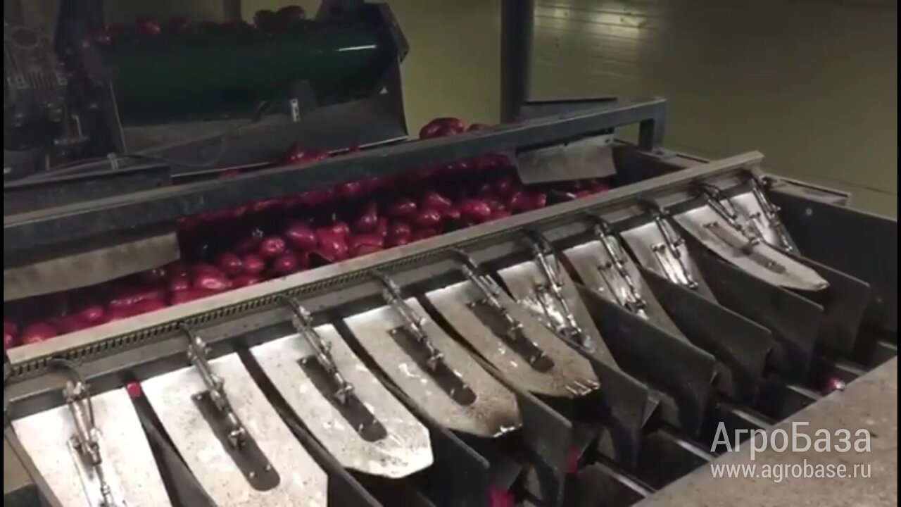 Автоматический фасовочный комплекс для овощной продукции ВС-10 с мешкозашивкой. 12 тонн в час, высокая точность