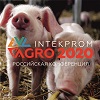 INTEKPROM AGRO 2020