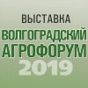 Волгоградский Агрофорум - 2019