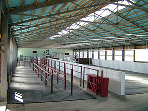 Для животноводства нет плохой погоды: технология холодного метода выращивания телят продолжает набирать популярность