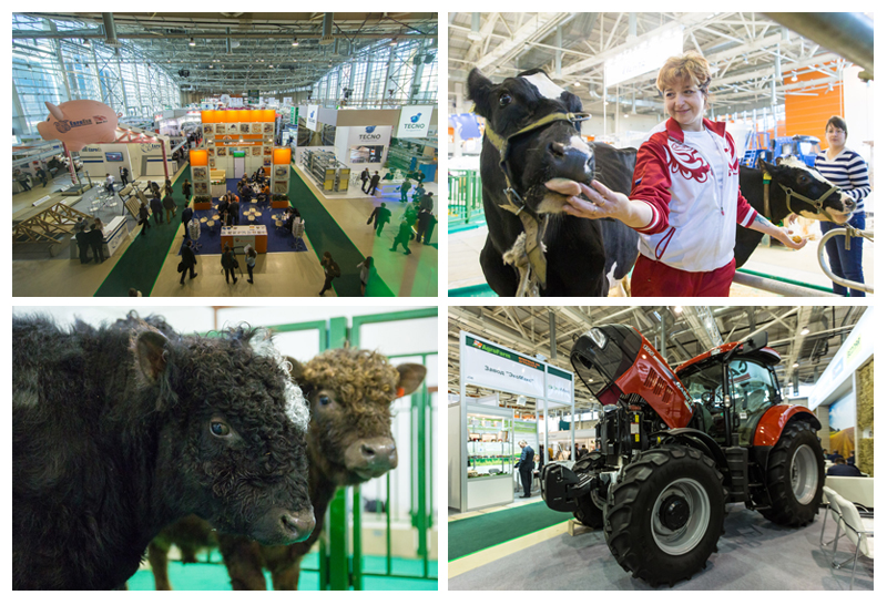 АгроФарм-2017 АгроФарм-2017