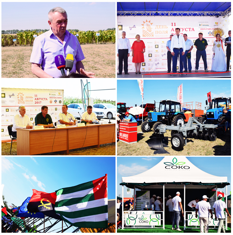 День поля юга России 2017 День поля юга России 2017