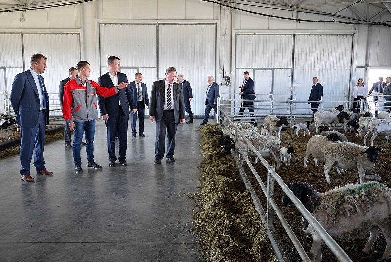 необычные фермы. Bowery farming вертикальная ферма. бельведер в архитектуре из дерева. система уровневого поения. открытия фермы.