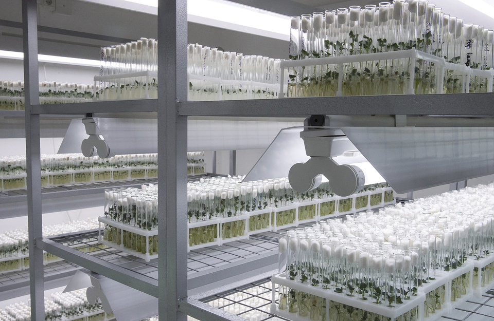 Селекция Селекция