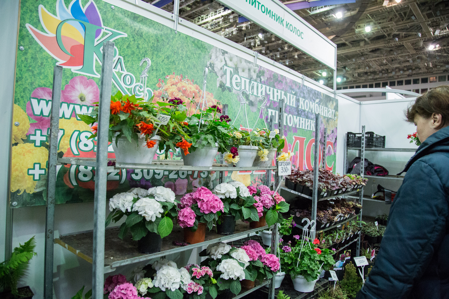 Петербургская Зеленая неделя