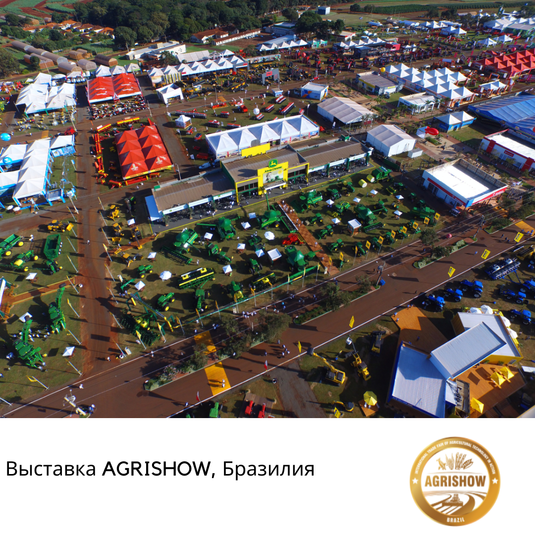 выставка в Бразилии выставка в Бразилии